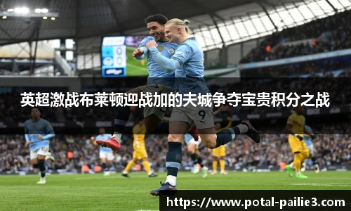 英超激战布莱顿迎战加的夫城争夺宝贵积分之战
