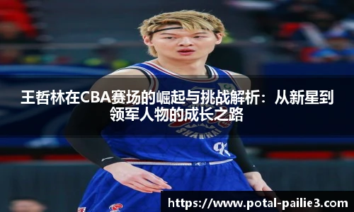 王哲林在CBA赛场的崛起与挑战解析：从新星到领军人物的成长之路